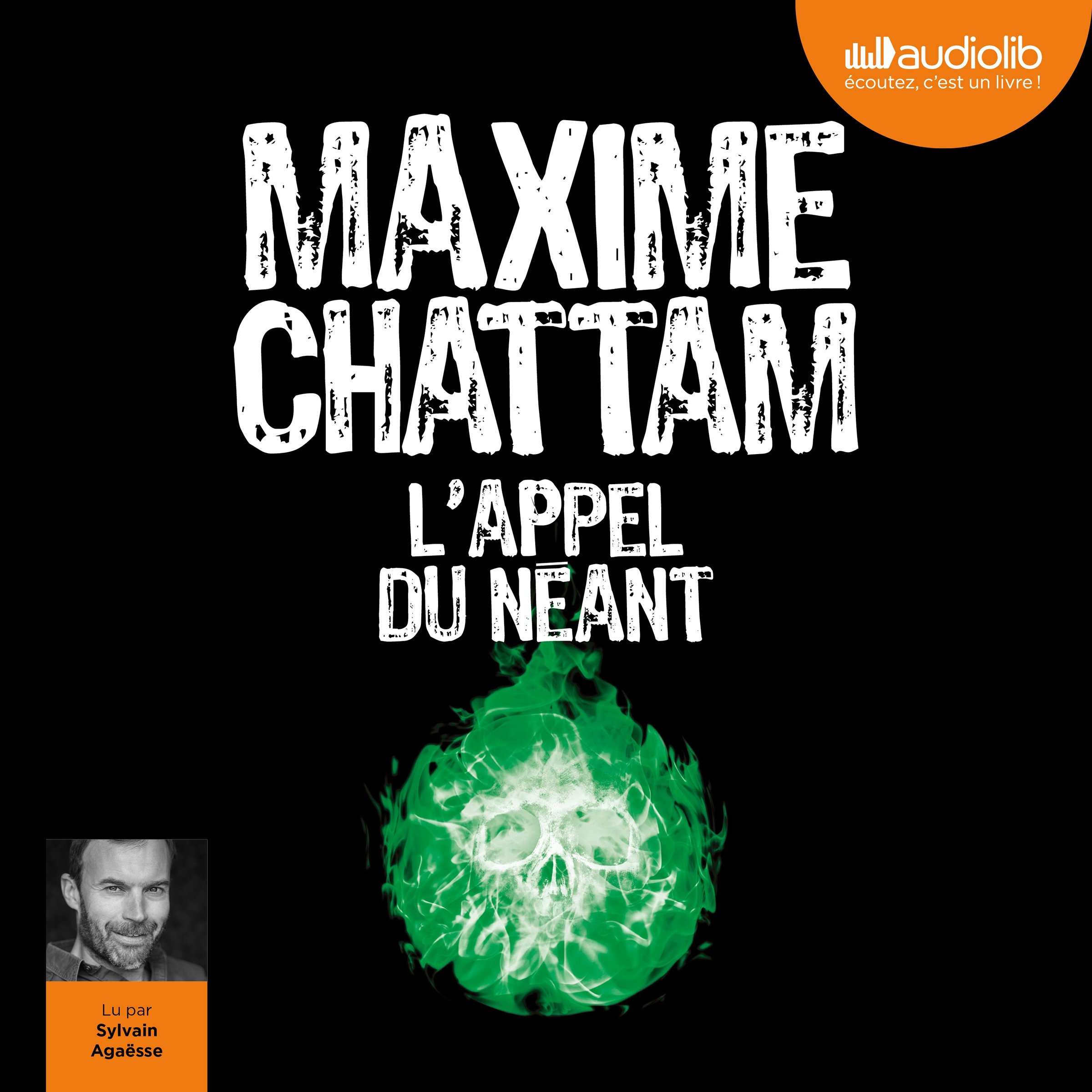 Cover art for L'appel du néant
