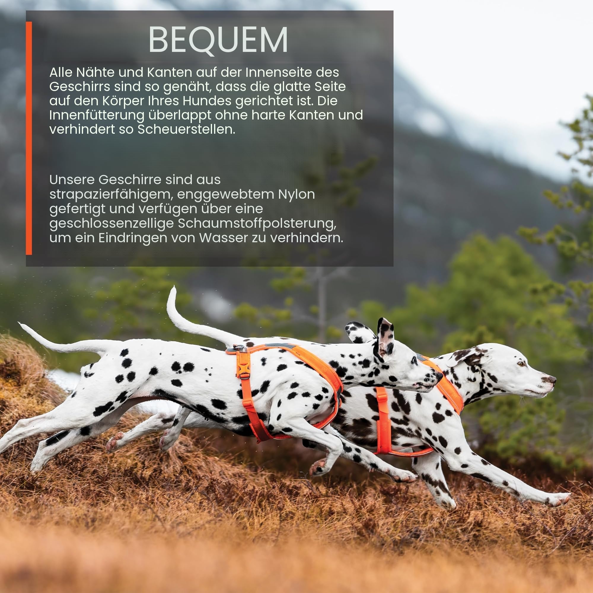 Non-stop dogwear Line Harness 5.0, Gepolstertes Hundegeschirr für kleine, mittlere und große Hunde, gemacht fürs Wandern, Sport und den aktiven Alltag, Größe 7