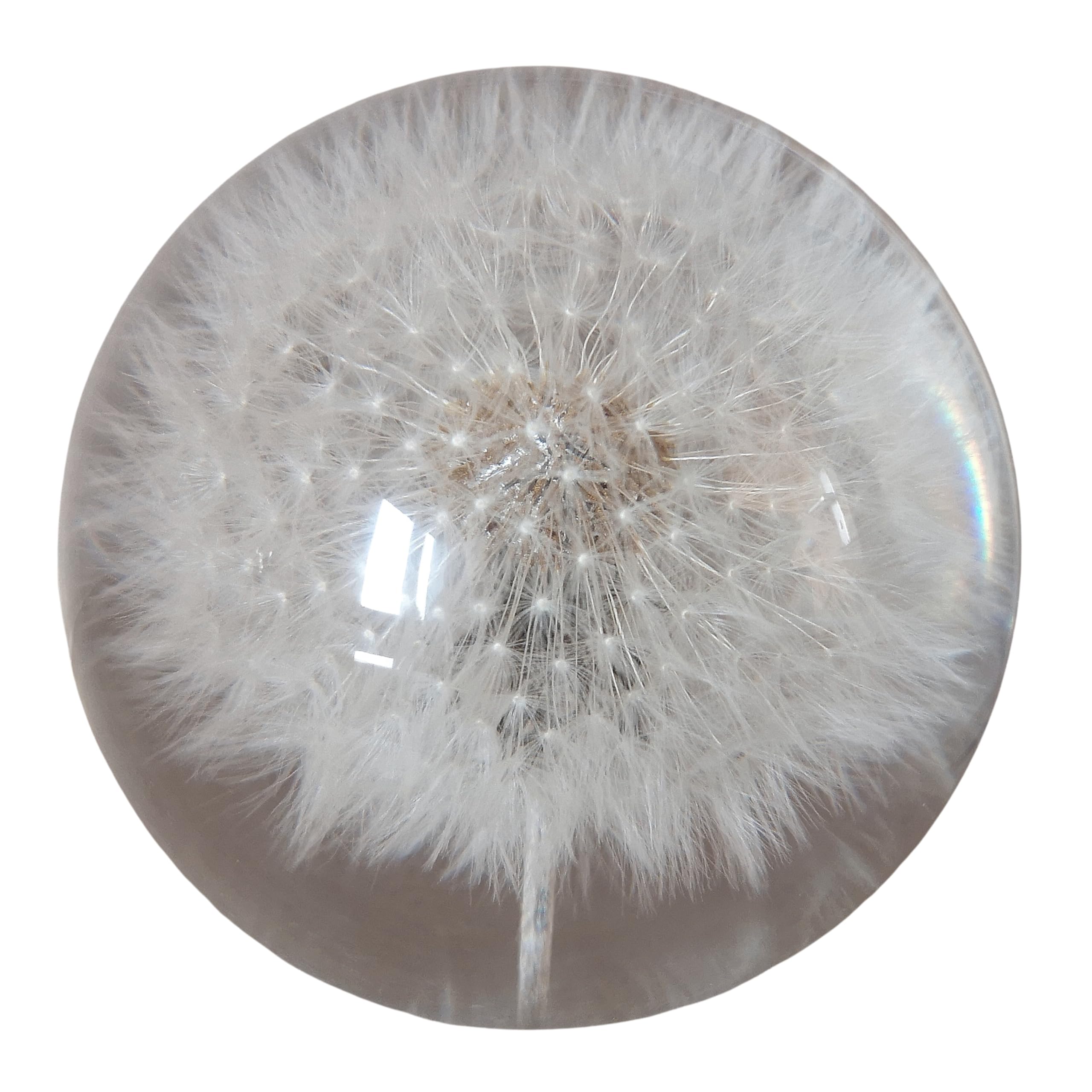 Generisch 7 cm Deko Figur Glas Pusteblume Löwenzahn Briefbeschwerer Handarbeit Glaskugel