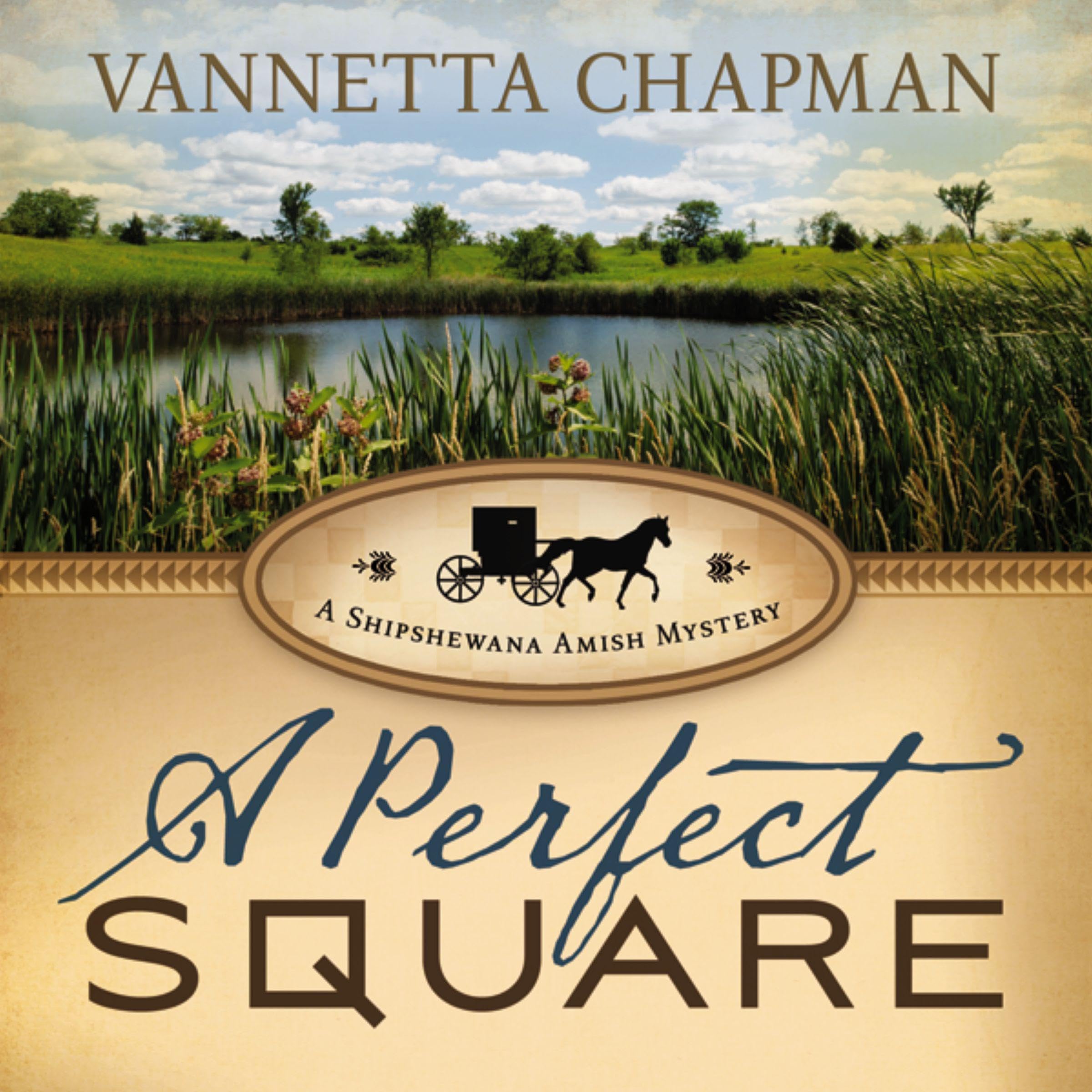 Cover art for A Perfect Square