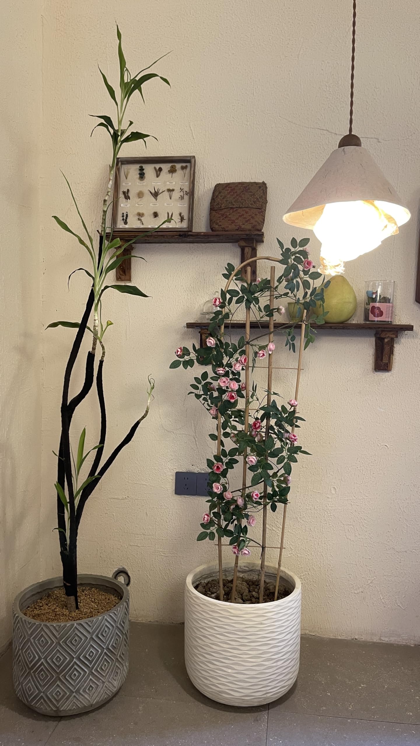 Enrejado de bambú en forma de U, enrejado redondo, enrejado de plantas, 24 pulgadas, para escalada en macetas en exteriores e interiores (forma de U, 3 pies, paquete de 3)
