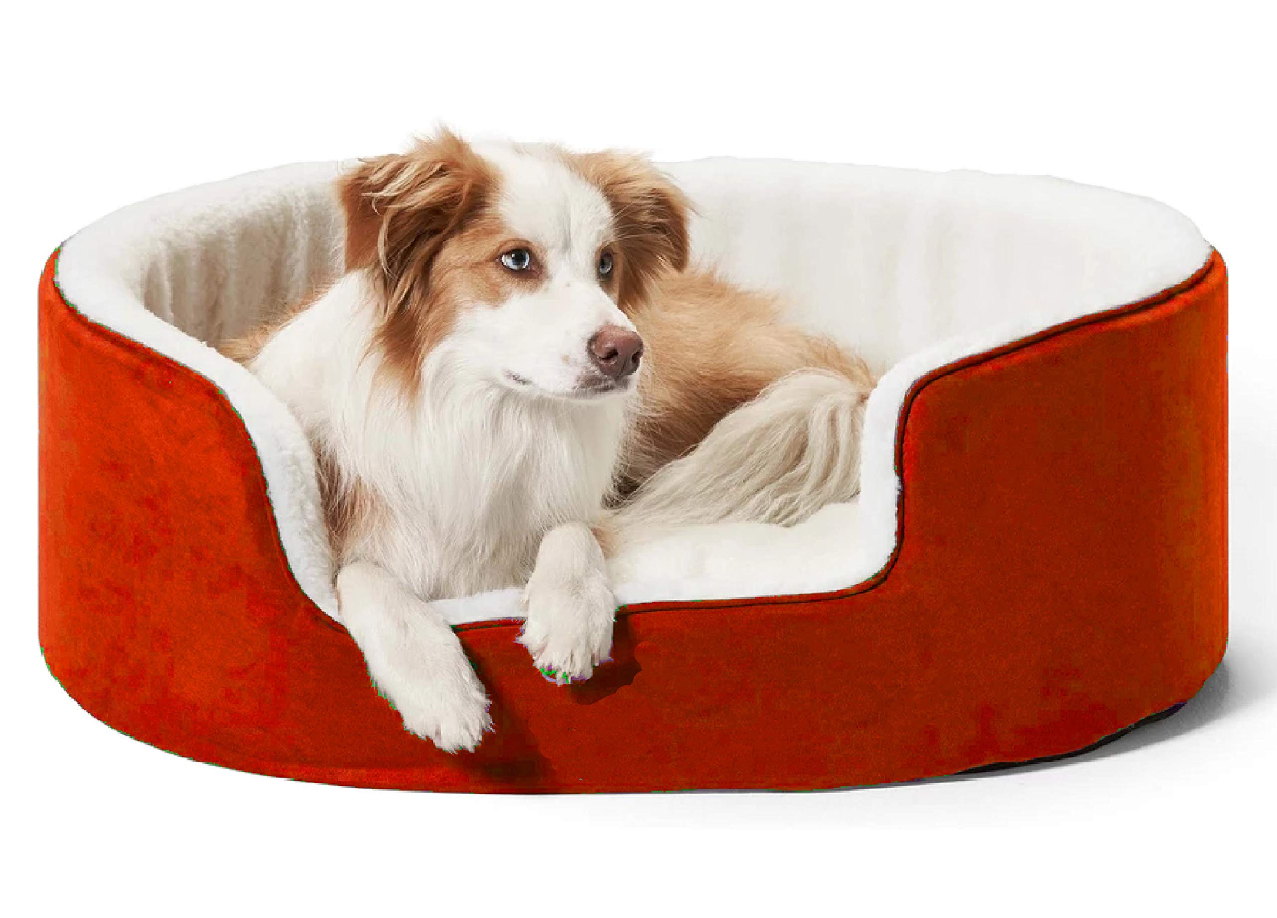 Petslover Warm Fleece Winter Beds Round Shape Reversible Ultra Soft Ethnic Designer (Export Quality) Bed with Cushion Pillow for Dog/Cat (Red, Small) (B082SY2KWD) Amazon Price History, Amazon Price Tracker