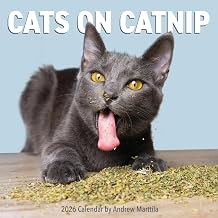 Cats on Catnip Wall Calendar 2027 A Year of Cats Living the High Life