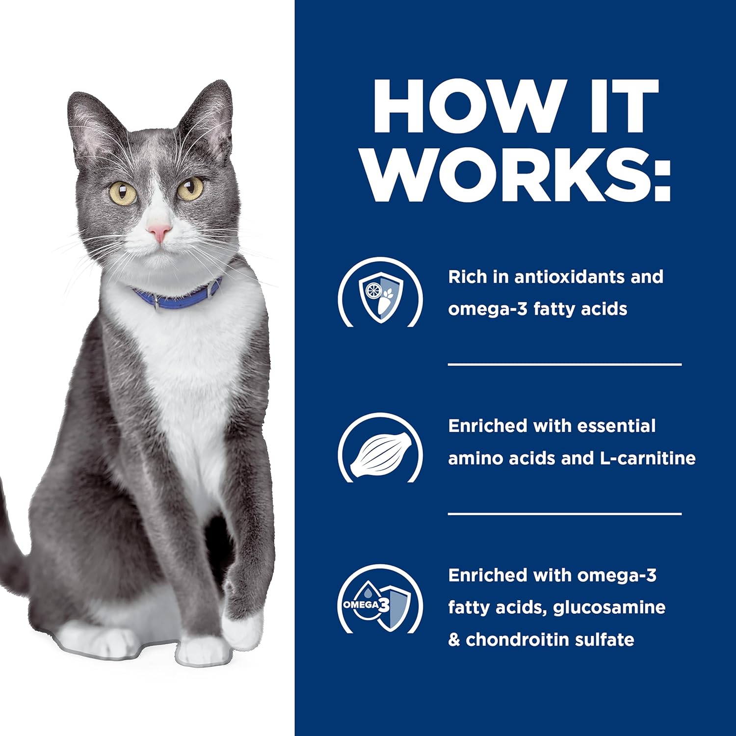 Hill’s Prescription Diet Brain Care + j/d Joint Care Wet Cat Food, Vegetable & Tuna Stew, 2.9 oz. Cans, 24-Pack