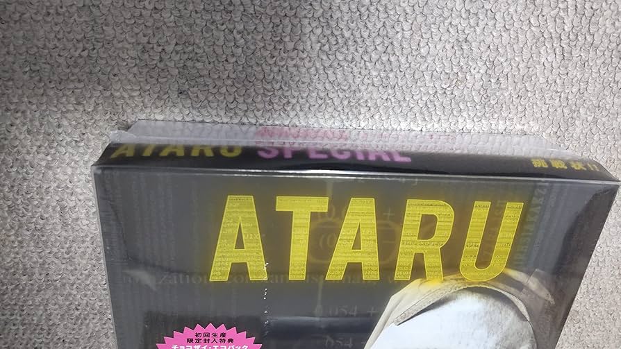 ATARU スペシャル~ニューヨークからの挑戦状 ~ディレクターズ