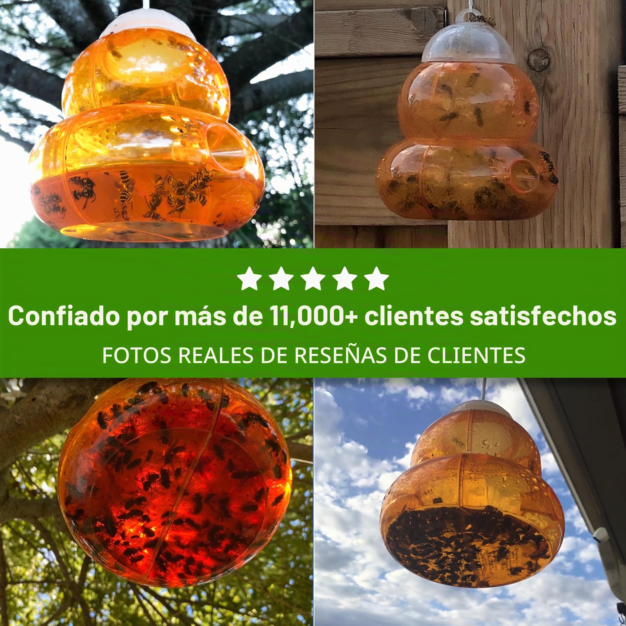 ASPECTEK Trampa para Avispas Trampa para Avispón, Abeja y Avispa Abejorro. 2 Unidades (Trampa de Abeja)