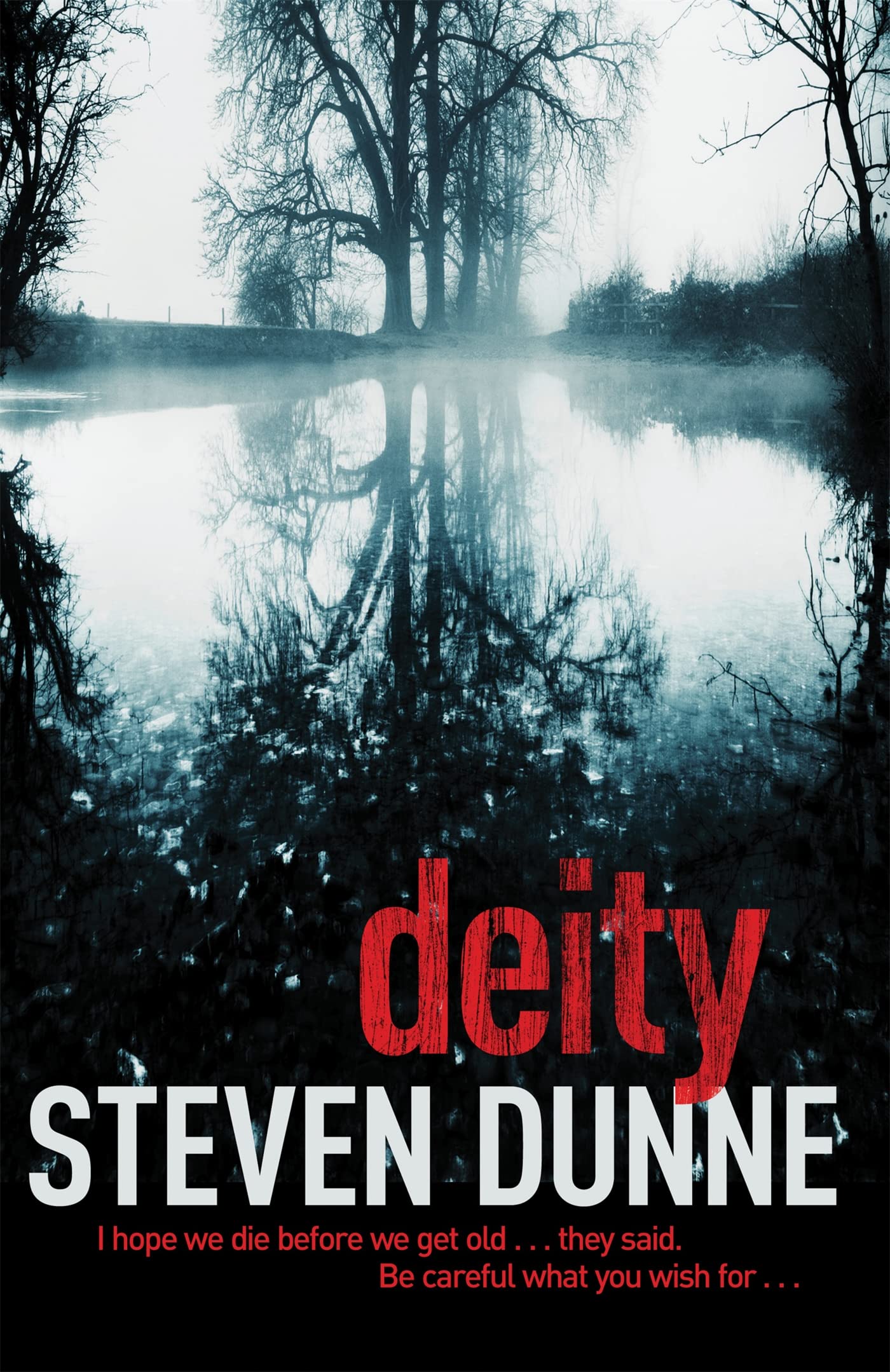 Deity DI Damen Brook 3 by Steven Dunne PAPERBACK 9780755383689