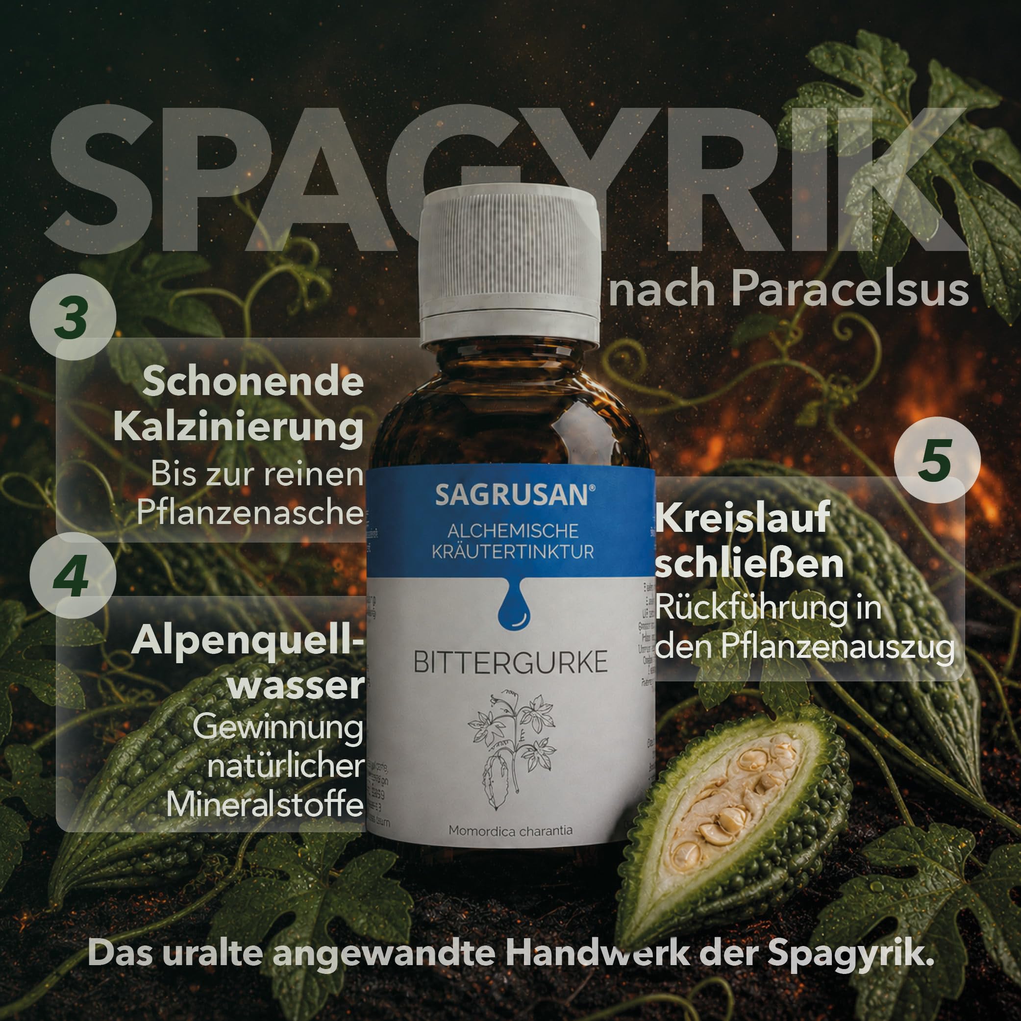 Bittergurke Tinktur 100 ml Momordica Charantia Tropfen vegan Bio Extrakt Bittermelone Karela Goya Kräuter Tinktur Pflanzenextrakt 65% Alkohol Braunglas ohne Farbstoffe Premium Qualität.