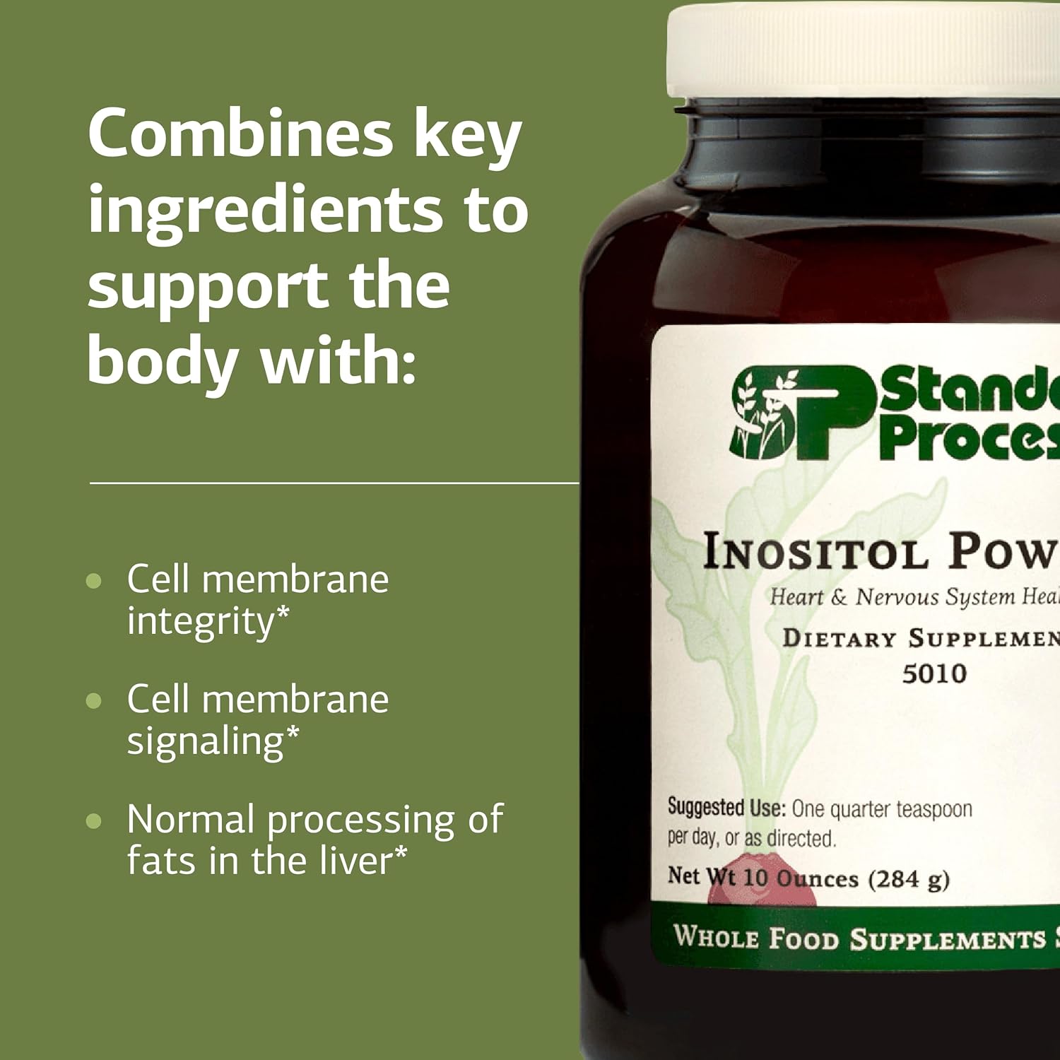 Standard Process Inositol Powder - Daily Heart Supplement for Cardiovascular & Nervous System Support - Gluten-Free, Non-Dairy & Non-Soy - 10 Ounces (405 Servings)