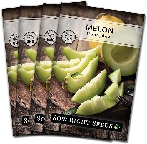 Sow Right Seeds - Semillas de melón de melón verde para plantar - Paquete de reliquia sin OMG con instrucciones para plantar un huerto casero -