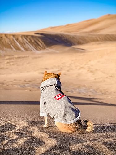 Miniatura 4 de ChoChoCho Sudadera con capucha para perro, suéter para perro, ropa de moda para perro, ropa para mascotas, sudaderas con capucha de algodón para