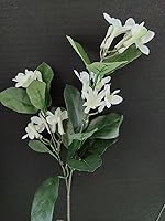 Vista 1 de Tallos artificiales de Stephanotis Flores de seda Boda