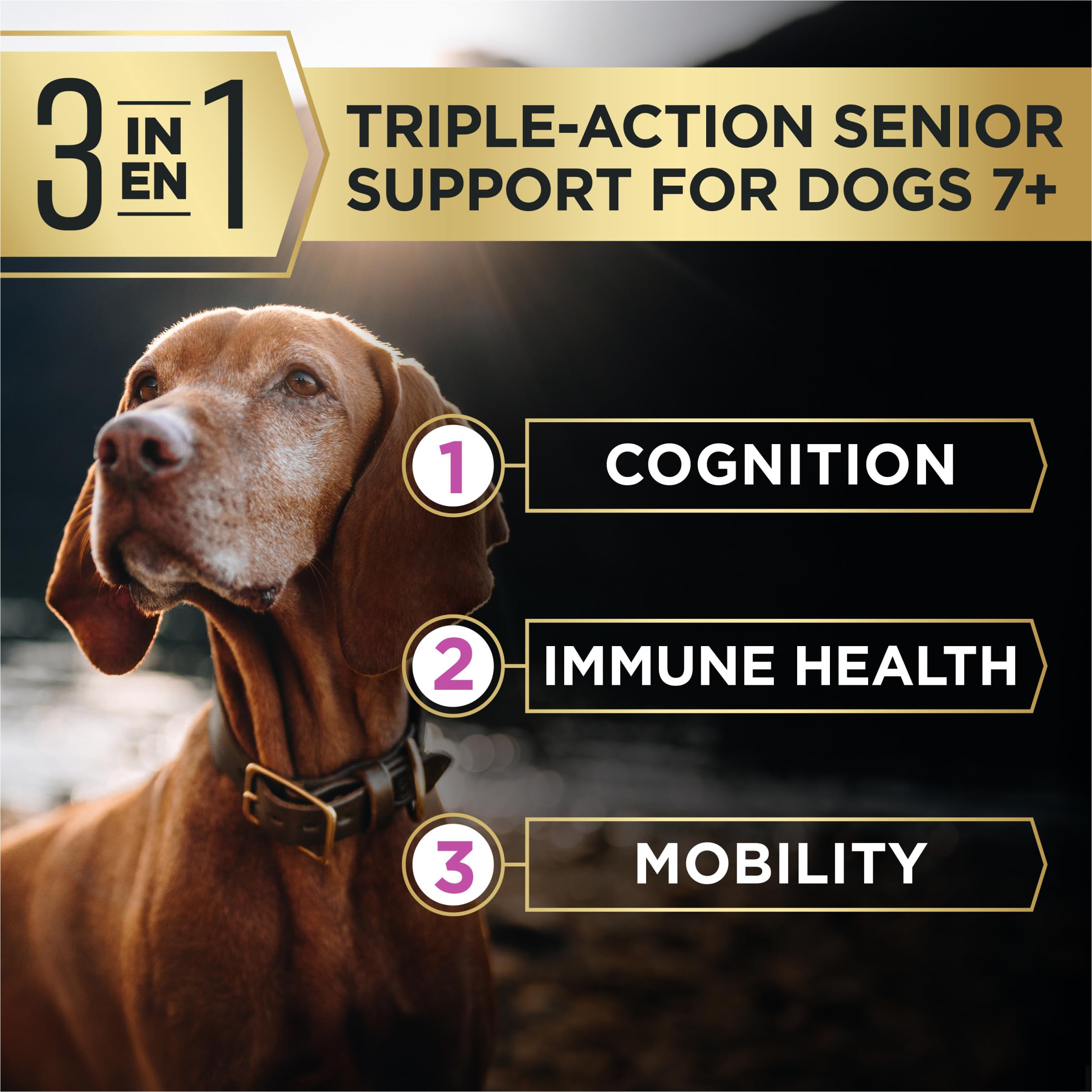 Purina Pro Plan AdvantEDGE Senior Support Plus Dog Food — Chicken & Rice, 22 lb — alternate product view 3