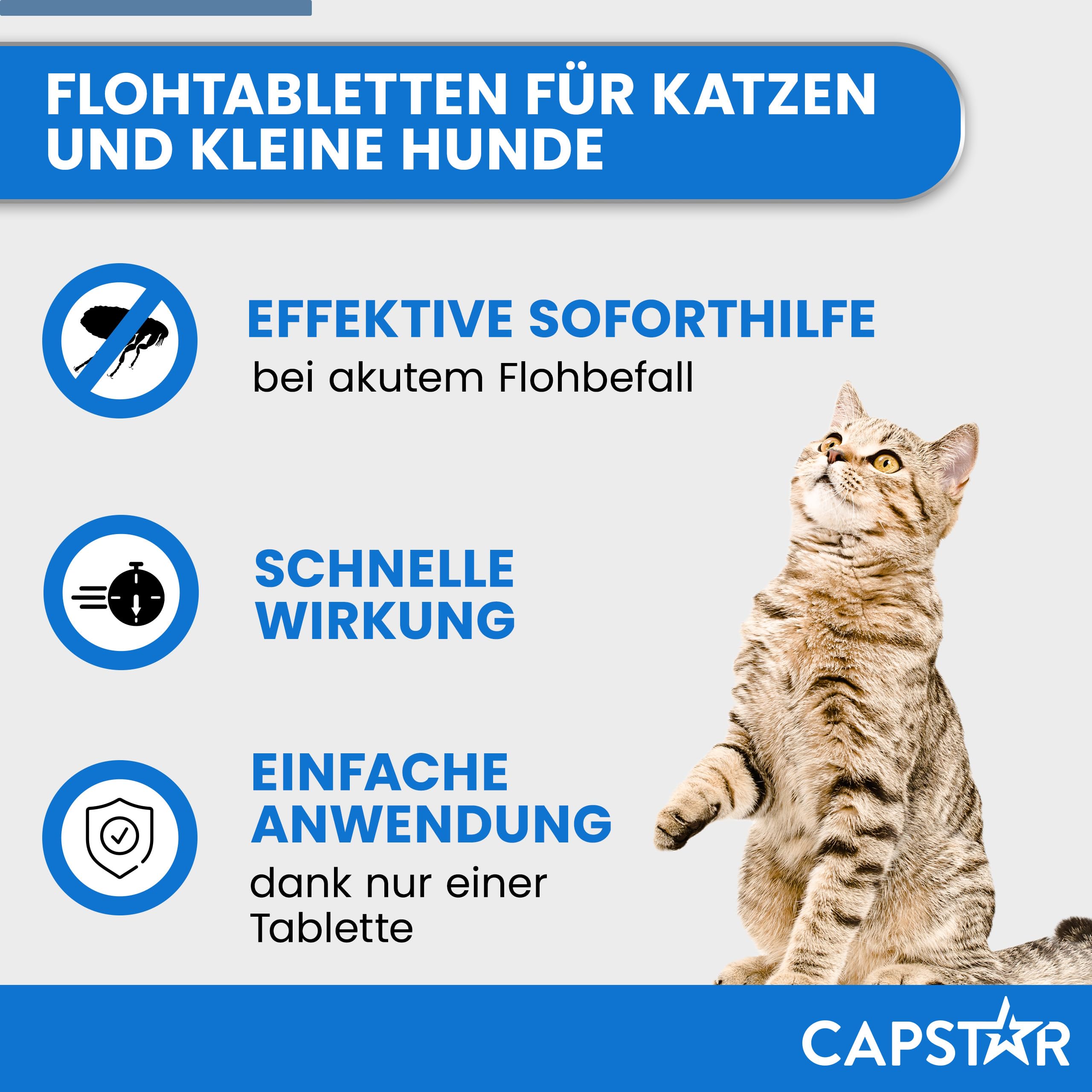 Capstar Flohtabletten für Katzen & kleine Hunde 1-11kg, 6 Stück | Zur Sofortbehandlung bei akutem Flohbefall. Wirkt schnell ab 15 Minuten. Einfache orale Eingabe gegen Flöhe