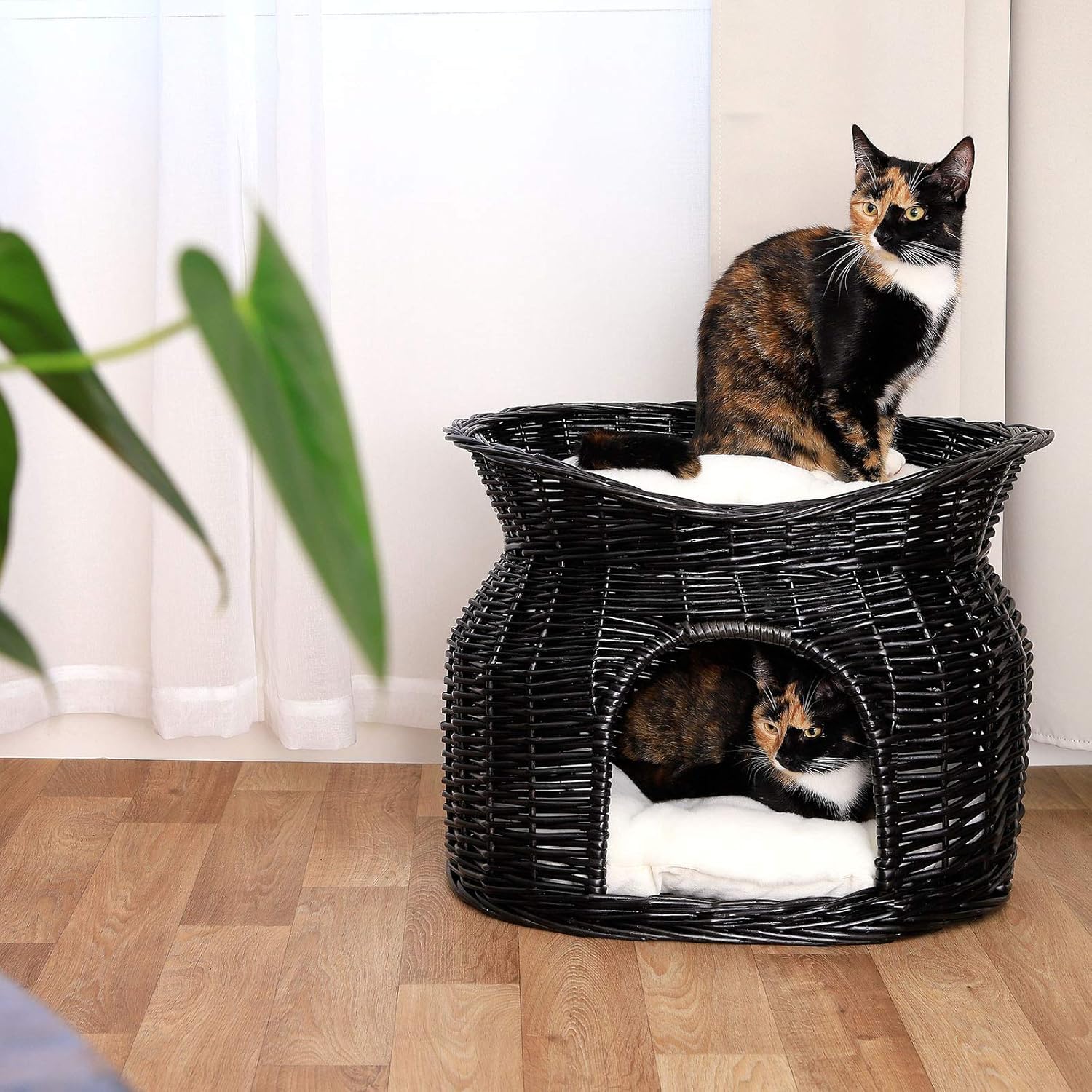 Cuccia per gatti rialzata in vimini con morbidi cuscini rimovibili, 2 ripiani, ovale per gatti e canestro per cani