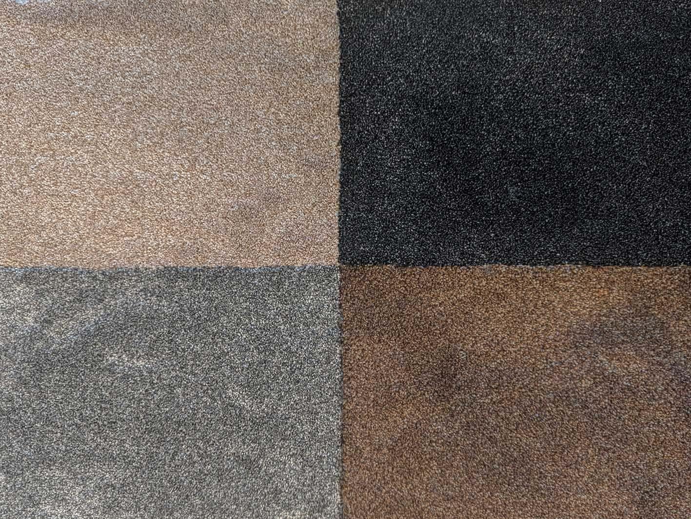 Moquette velours douce et moelleuse Jasmin | Moquette haut de gamme pour les pièces à vivre, gris, Découpe (4m de large / 6m de long)