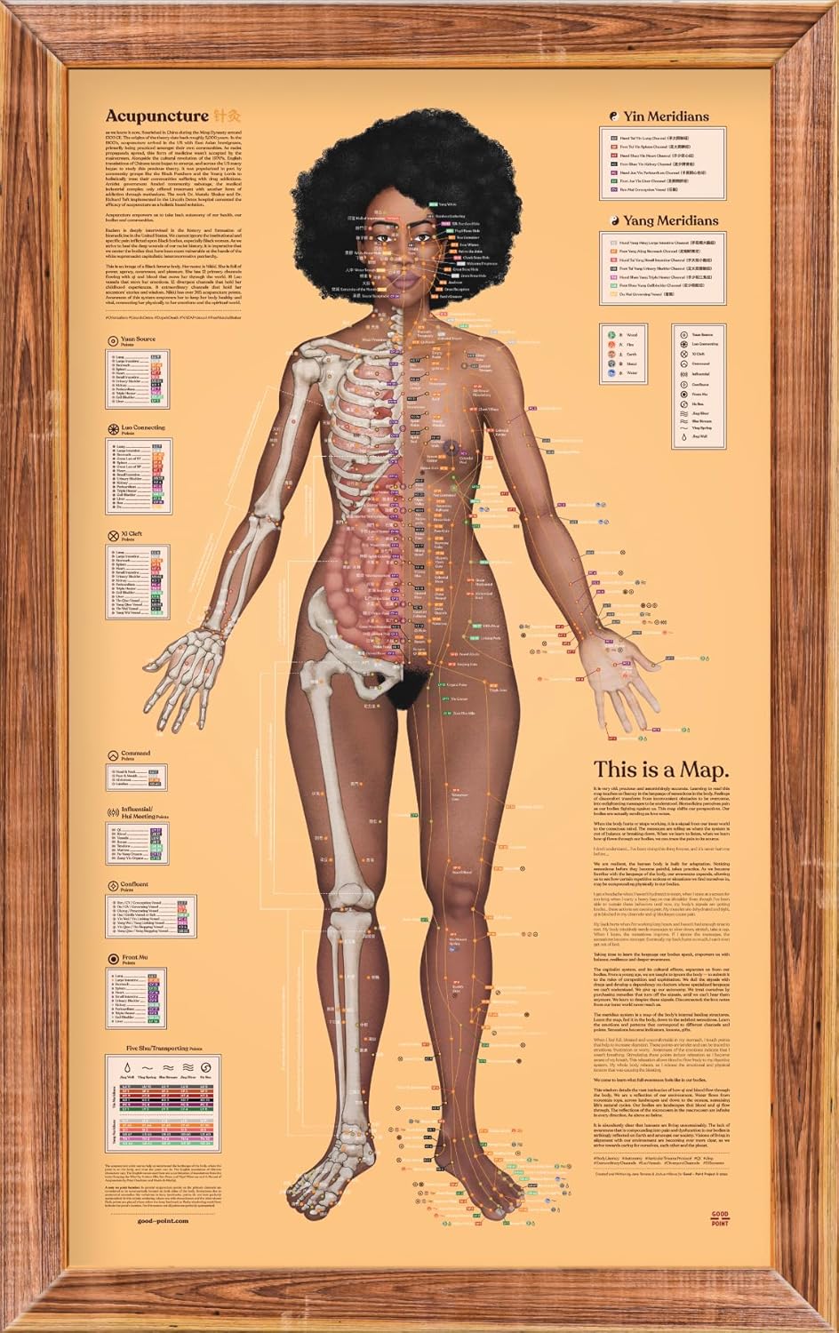 Good Point Project: Acupuncture Poster 01 (Nikki Front View)