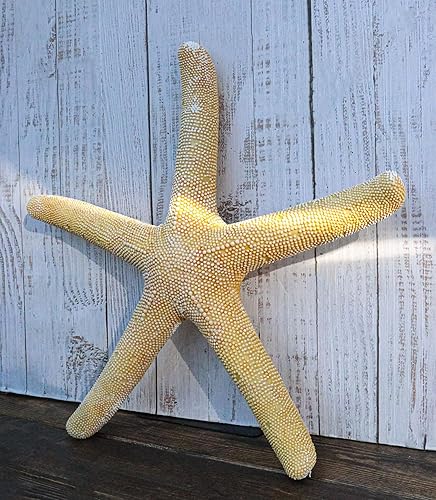 Miniatura 8 de Ebros Gift Escultura de estrella de mar amarilla coral océano, estrella de mar, 15 pulgadas de largo, decoración temática náutica costera para