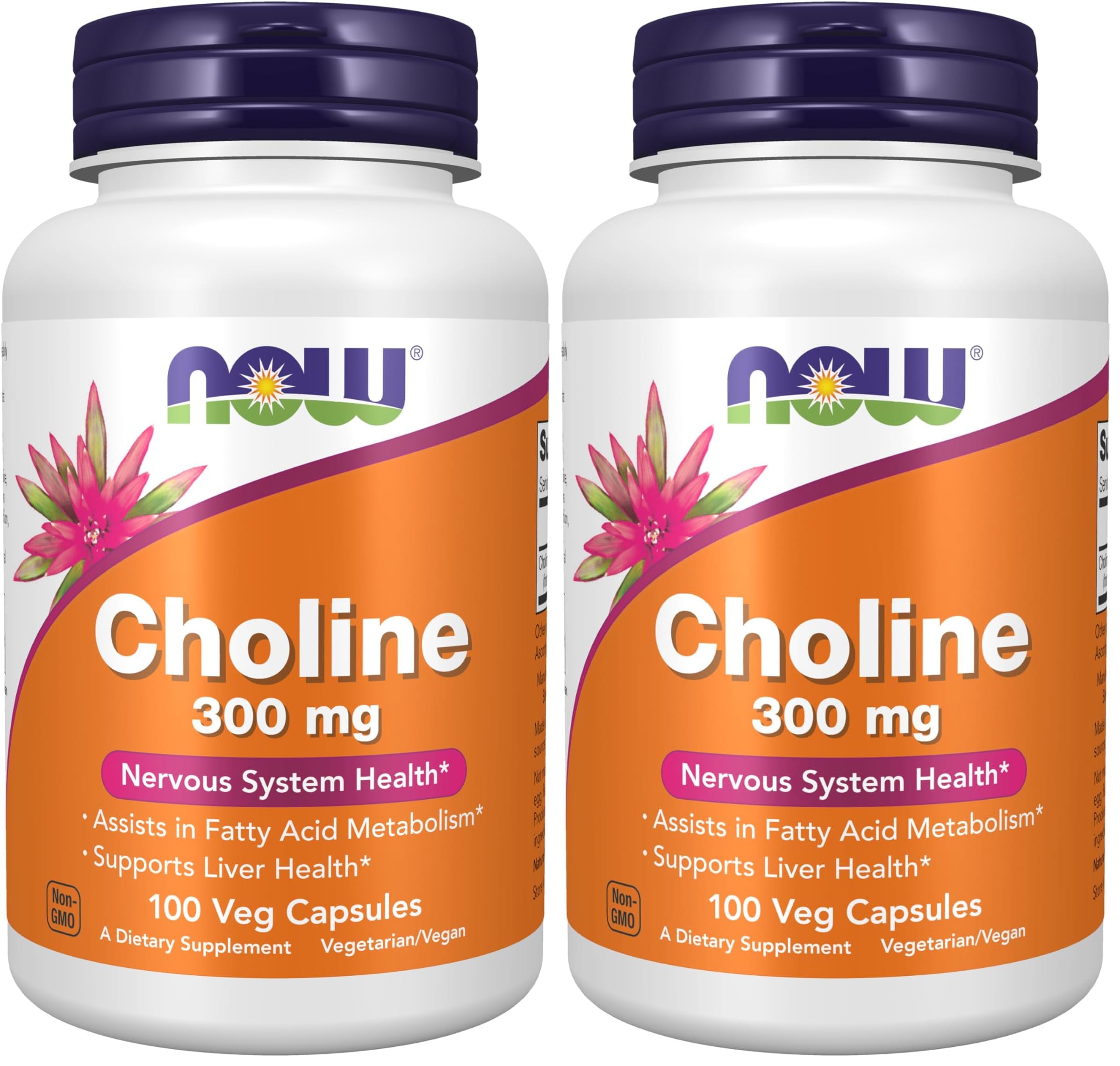 Now Supplements Choline 300 mg