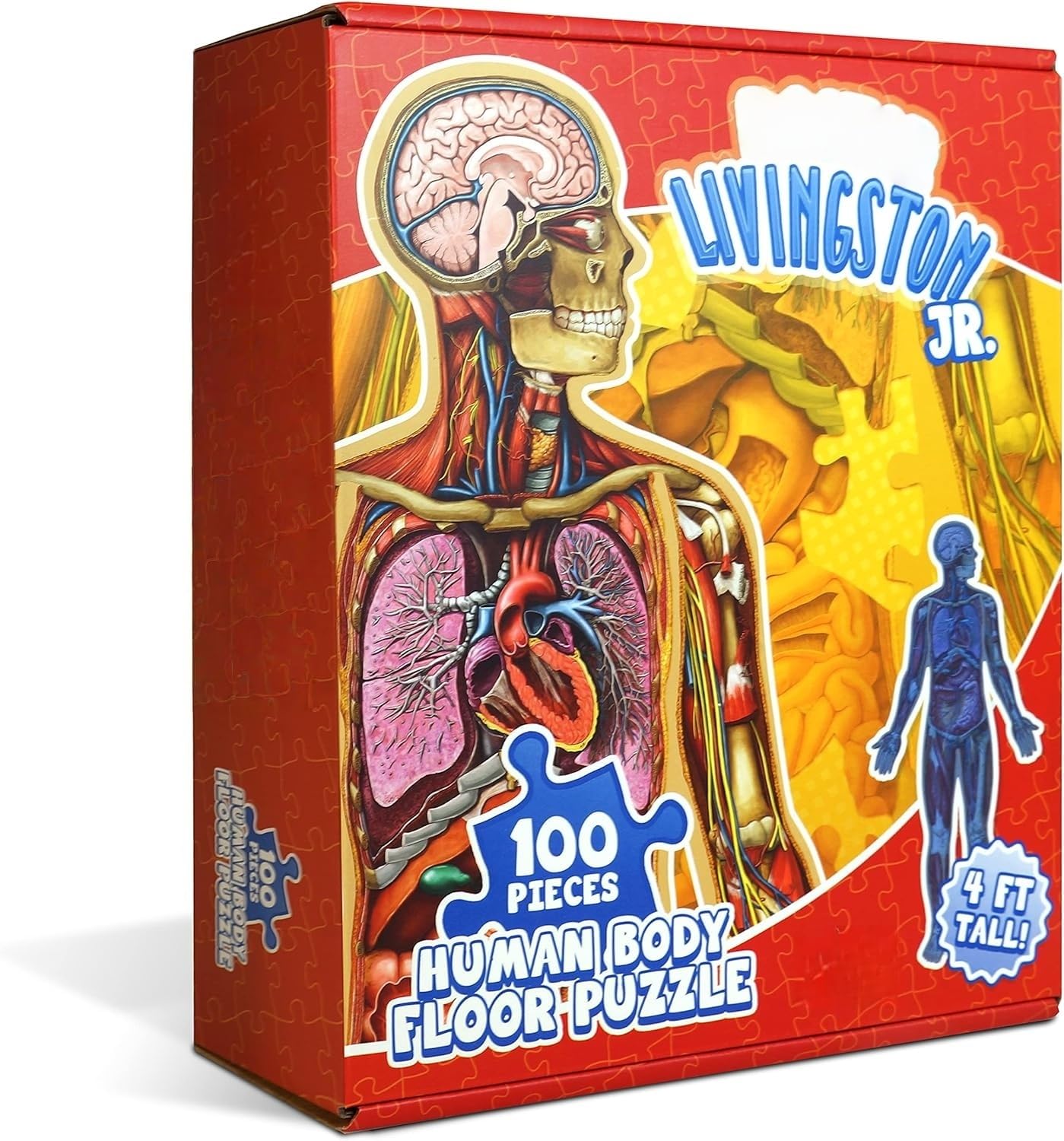 Human Anatomy children kids Floor Puzzle - Dr Livingston 100-Piece Full Body Jigsaw Puzzle - 4 FT Medically Accurate Floor Puzzles for Kids Ages 6-8,4-8, 8-10 Educational Toys for Children,Toddlers
