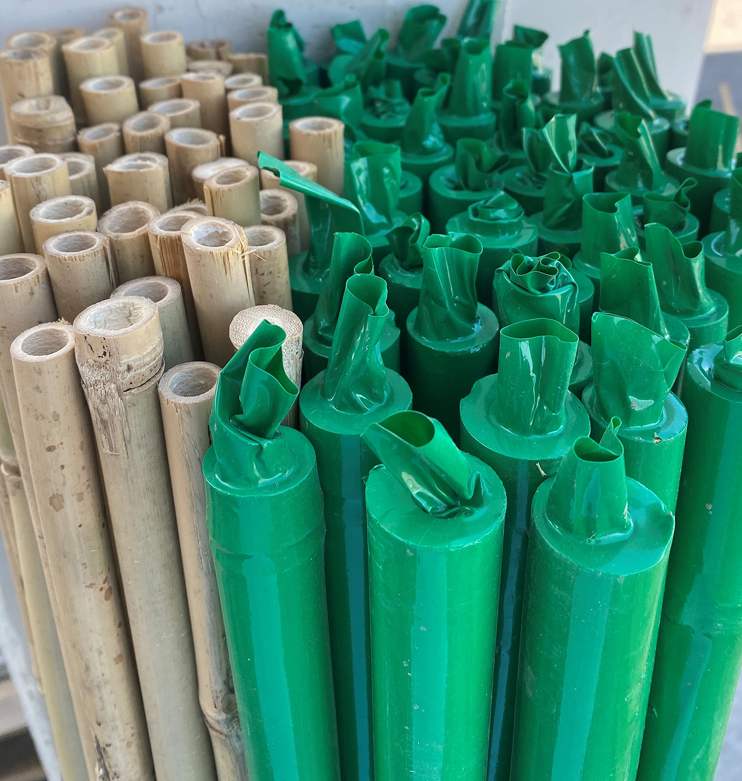 Tutor de bambú Chino plastificado de 1,5 m. de Altura, diametro 20-22. Pack de 50 Unidades. Tutores válidos para Todo Tipo de Plantas.
