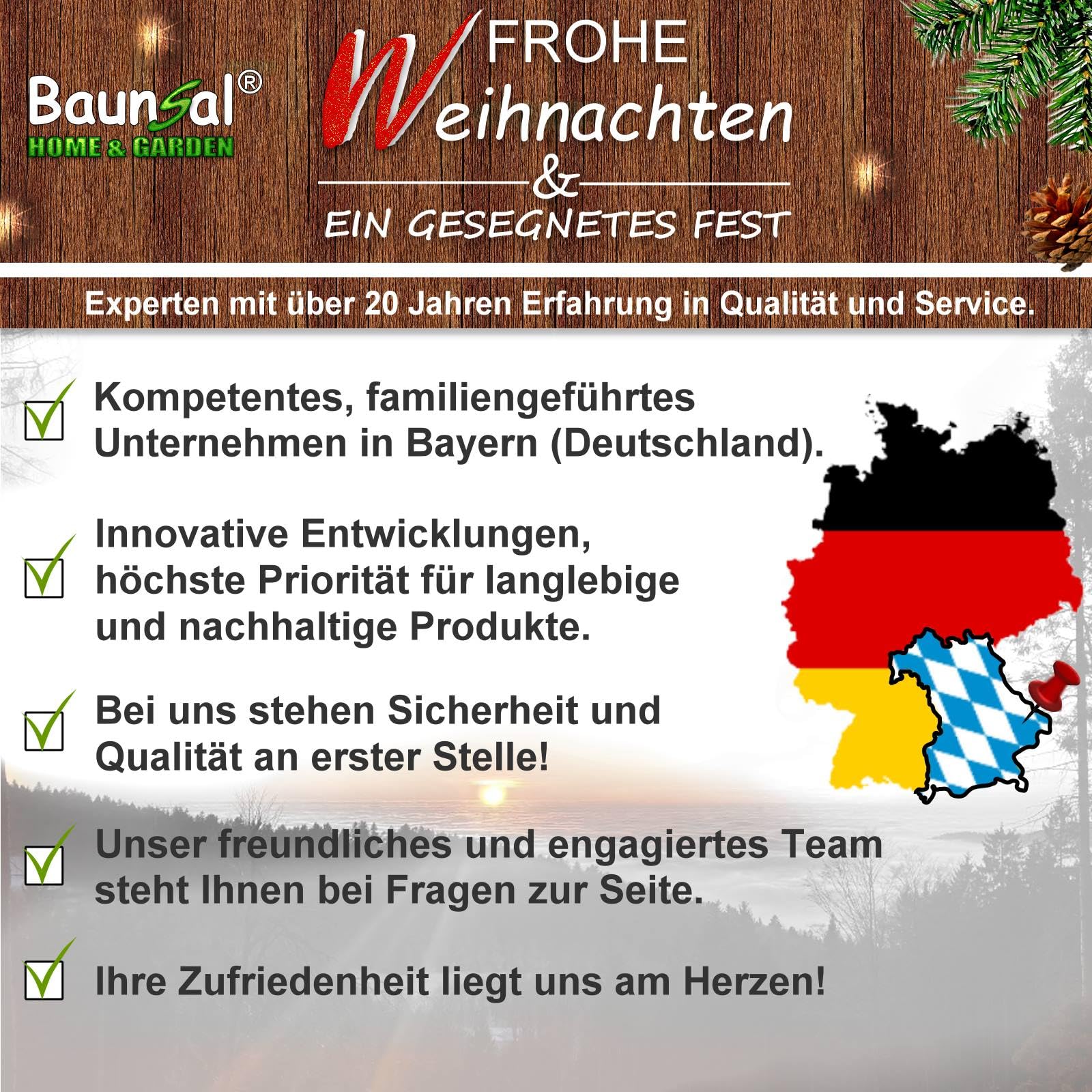 Weihnachtsgirlande Tannengirlande Girlande grün 10 m mit Kieferzapfen + rote Beeren und Led Lichterkette mit Batteriebox und Fernbedienung Girlande Weihnachten Weihnachtsdeko Tannengirlanden