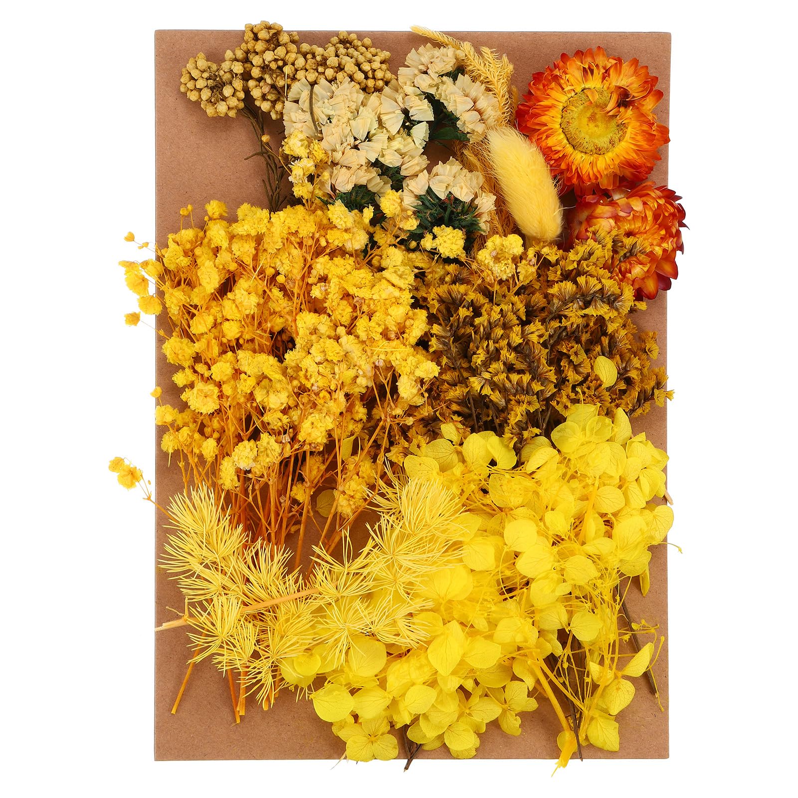 PATIKIL Pressed Flowers for Craft Bulk Dried Flowers Natural Pressed Flowers Leaves for Resin Soap Candle Scrapbooking DIY Gift Papermaking
