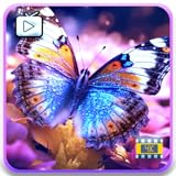 Relaxing Space Screens TV