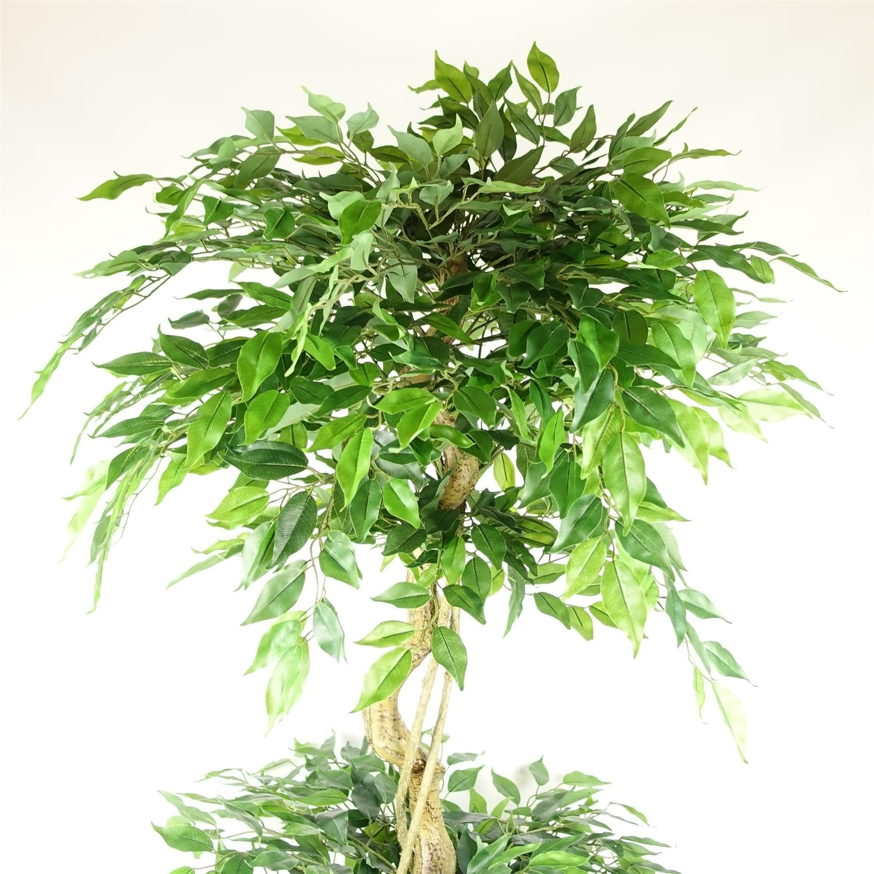 Leaf Ficus Japonais Artificiel réaliste, 180 cm, Triple Boule, Fruticosa