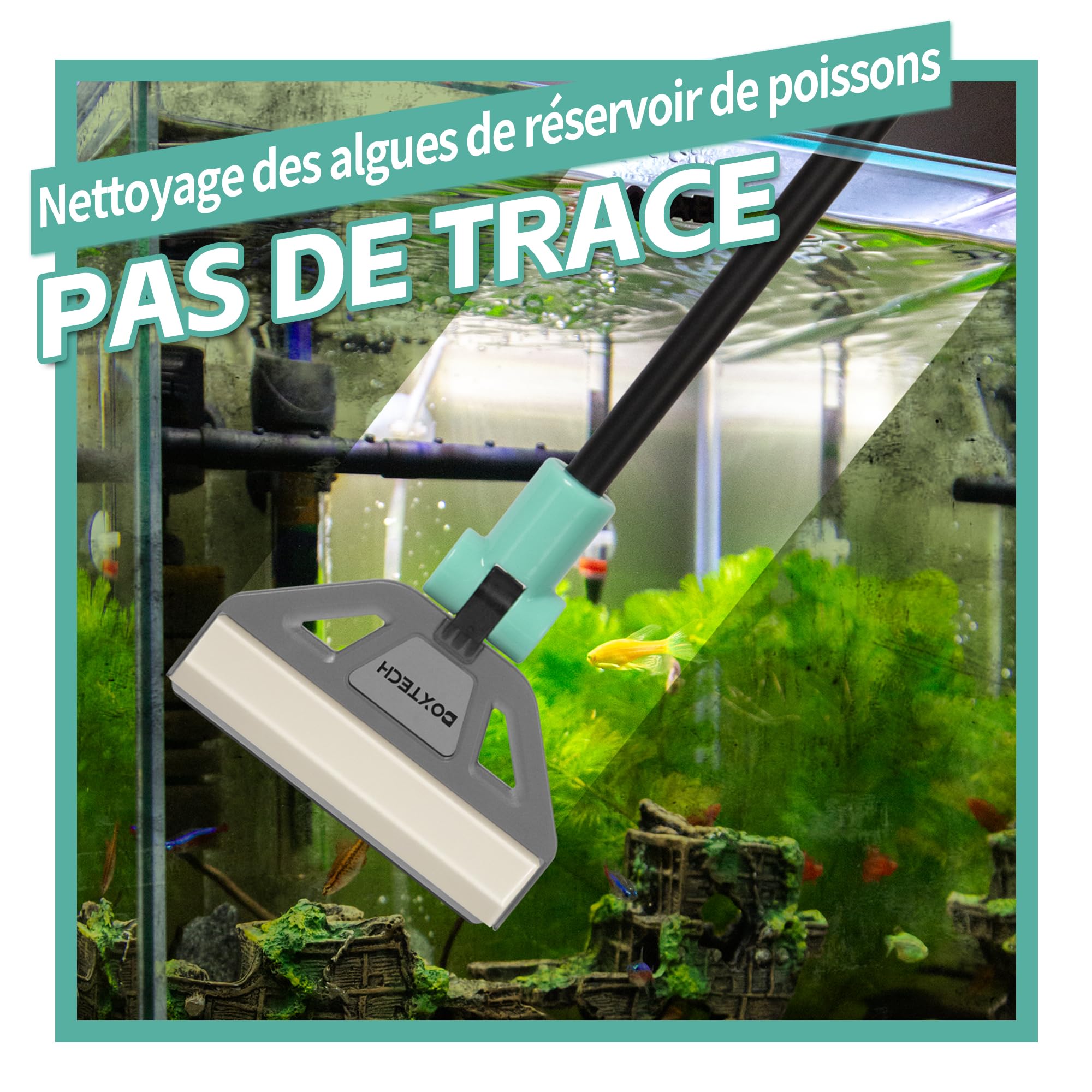 boxtech Raschietto anti-alghe, strumento di pulizia dell'acquario Kit - 5 lame in acciaio + spazzola, manico 50 cm per acquario in vetro
