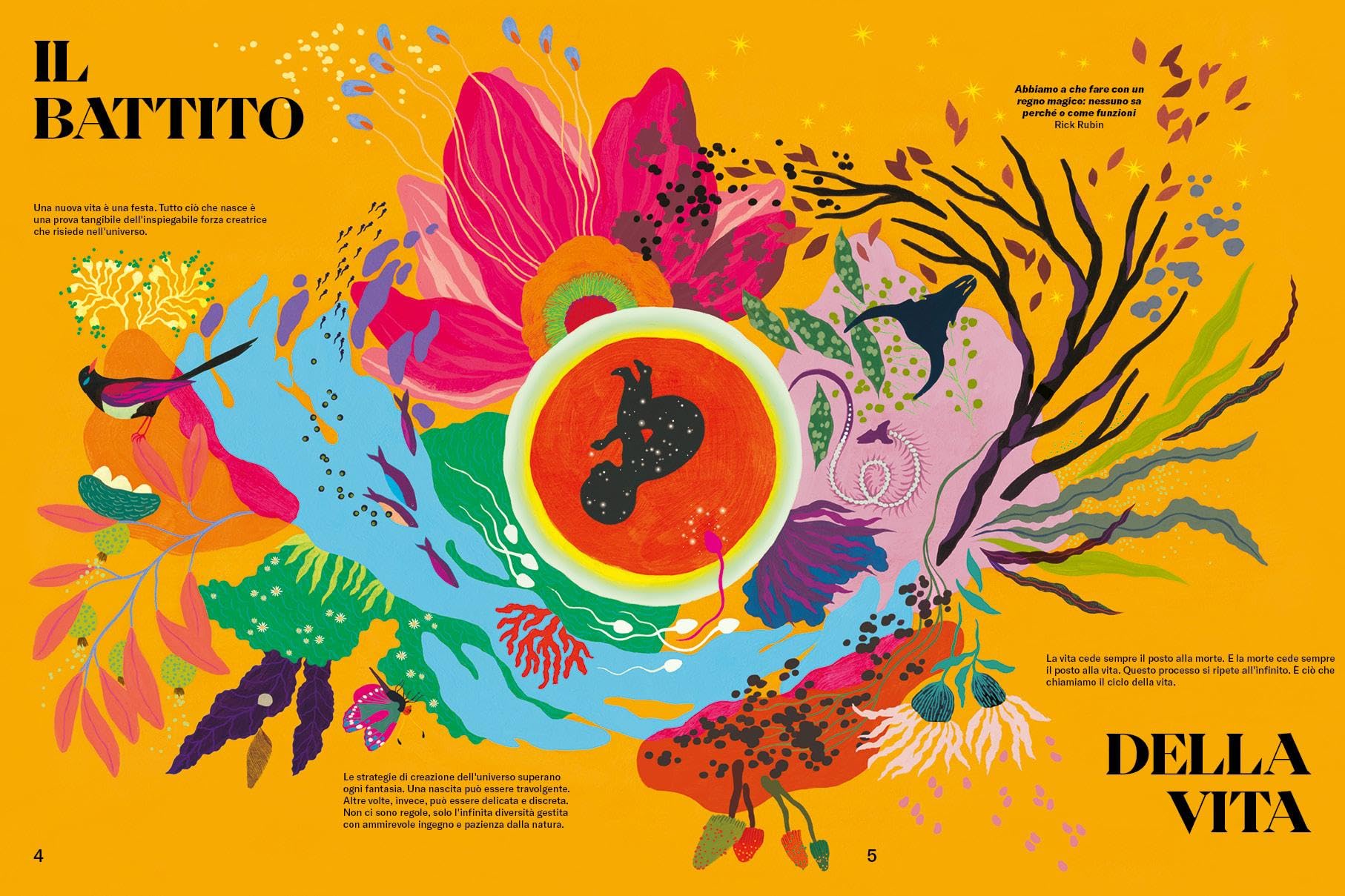 Il meraviglioso libro della vita. Ediz. a colori