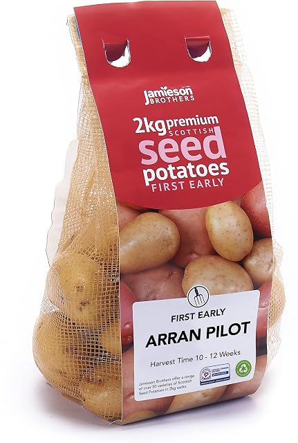 Jamieson Brothers 2kg Arran Pilot Seed Potatoes  JBA First Early Grow Your Own Spuds  for Chips, Salads & Boiling  Scottish-Grown & Ready to Plant at Home in Gardens, Patios, in Pots & Allotments