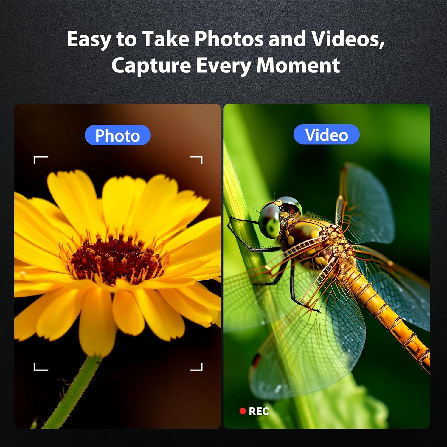 Split image showing a photo of a flower and a video recording of a dragonfly, demonstrating the Hayve DM7 Digital Microscope's photo and video capture capabilities.