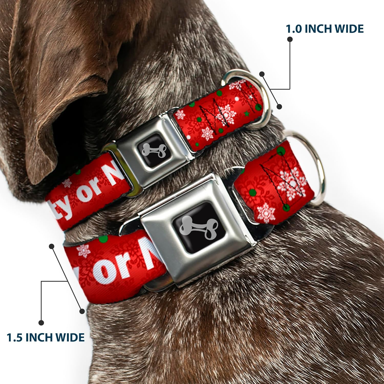 Buckle-Down Seatbelt Buckle Dog Collar - Christmas NAUGHTY OR NICE/Snowflakes Reds/White/Green - 1" Wide - Fits 9-15" Neck - Small