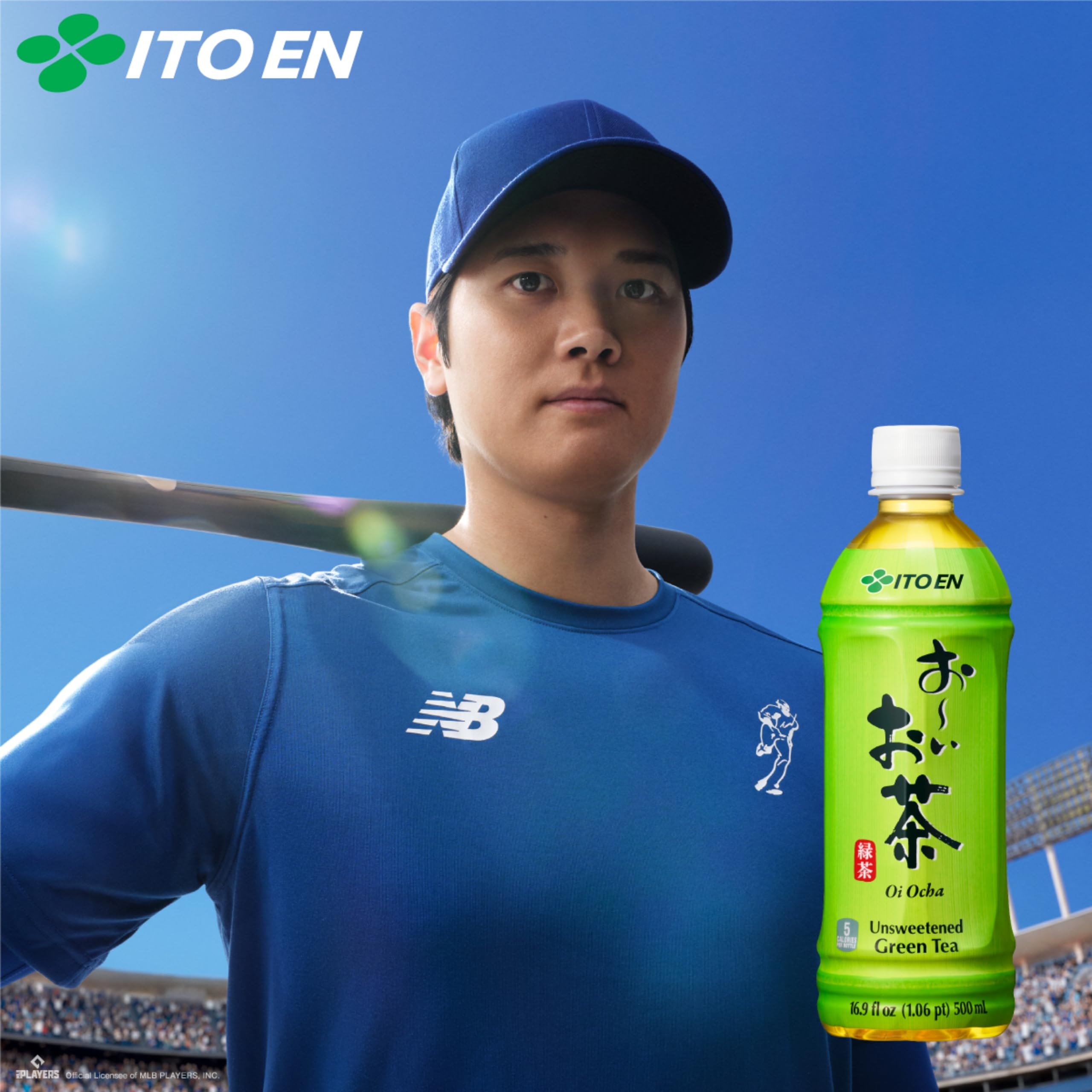 Amazon.com : Ito En Tea Oi Ocha Green Tea, Unsweetened, 16.9 Ounce