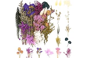 Dried Lilac Flowers for Arts and Crafts