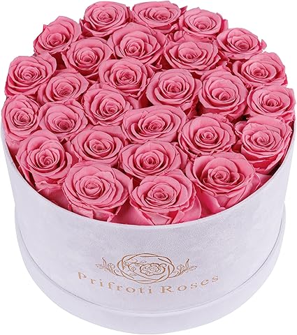 27 Flowers in a Luxury Suede Box, Birthday Gifts for Women, Preserved Flowers, Mothers Day Roses Gift for Mom, Light Pink