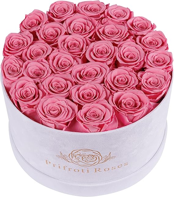 27 Flowers in a Luxury Suede Box, Birthday Gifts for Women, Preserved Flowers, Mothers Day Roses Gift for Mom, Light Pink