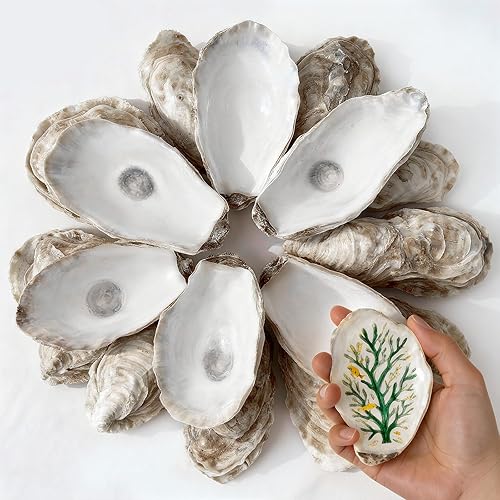 Conchas de ostras para manualidades de 4 a 6 pulgadas, 30 piezas de conchas de ostras naturales grandes para manualidades, adornos de Navidad,