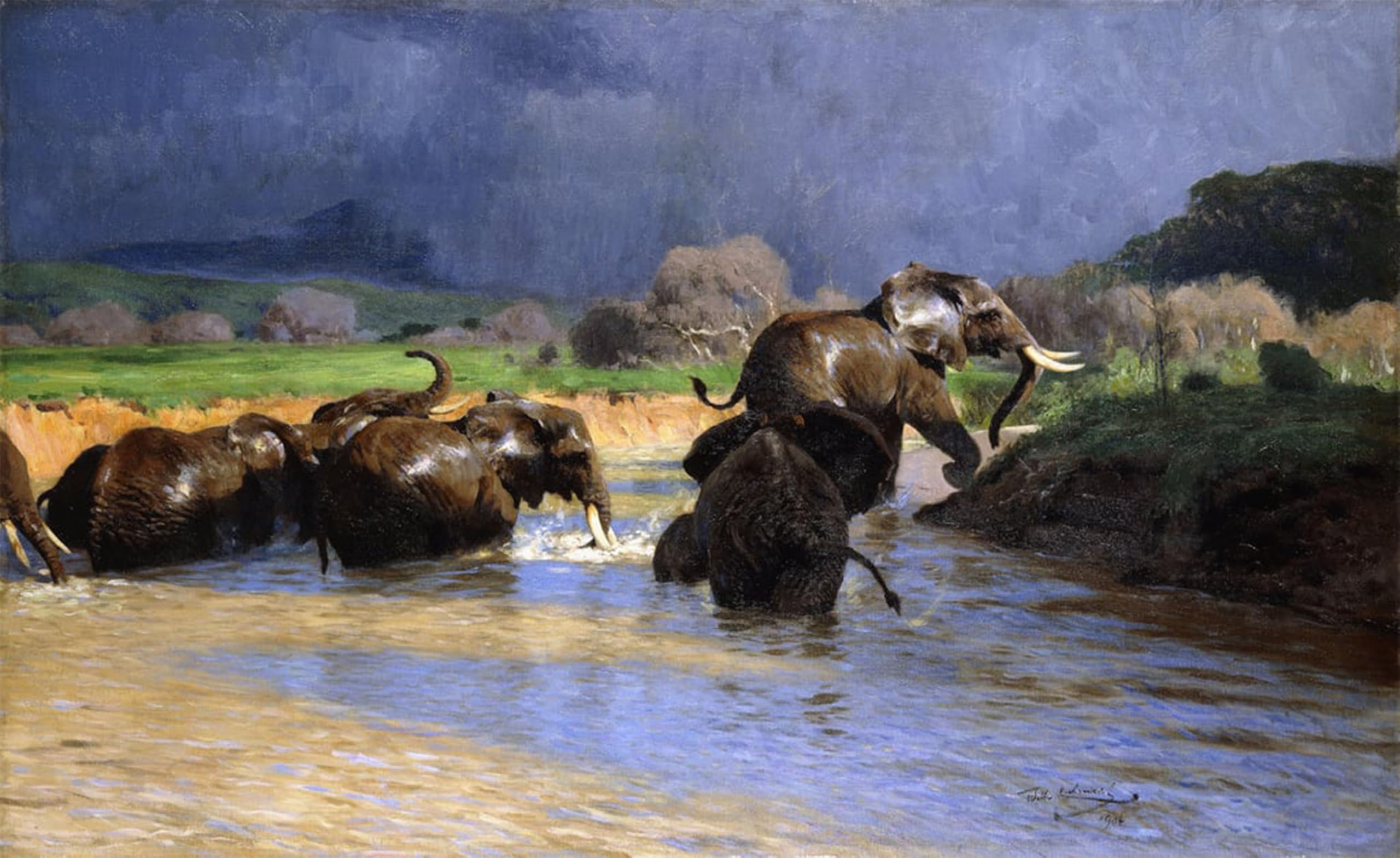 ARTXLXXBN Famous Print Painting Colorful Art Print Elephants Bathing by Wilhelm Kuhnert Canvas Art Decorations for Home Decor 60x90cm