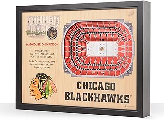 YouTheFan NHL 25 Layer Stadiumviews 3D Wall Art