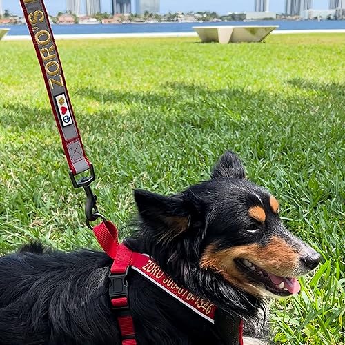 Miniatura 9 de Pawtitas correa para mascotascachorro de ft reflectante de perro con collar y arnés de juego que se venden por separado., Verde azulado