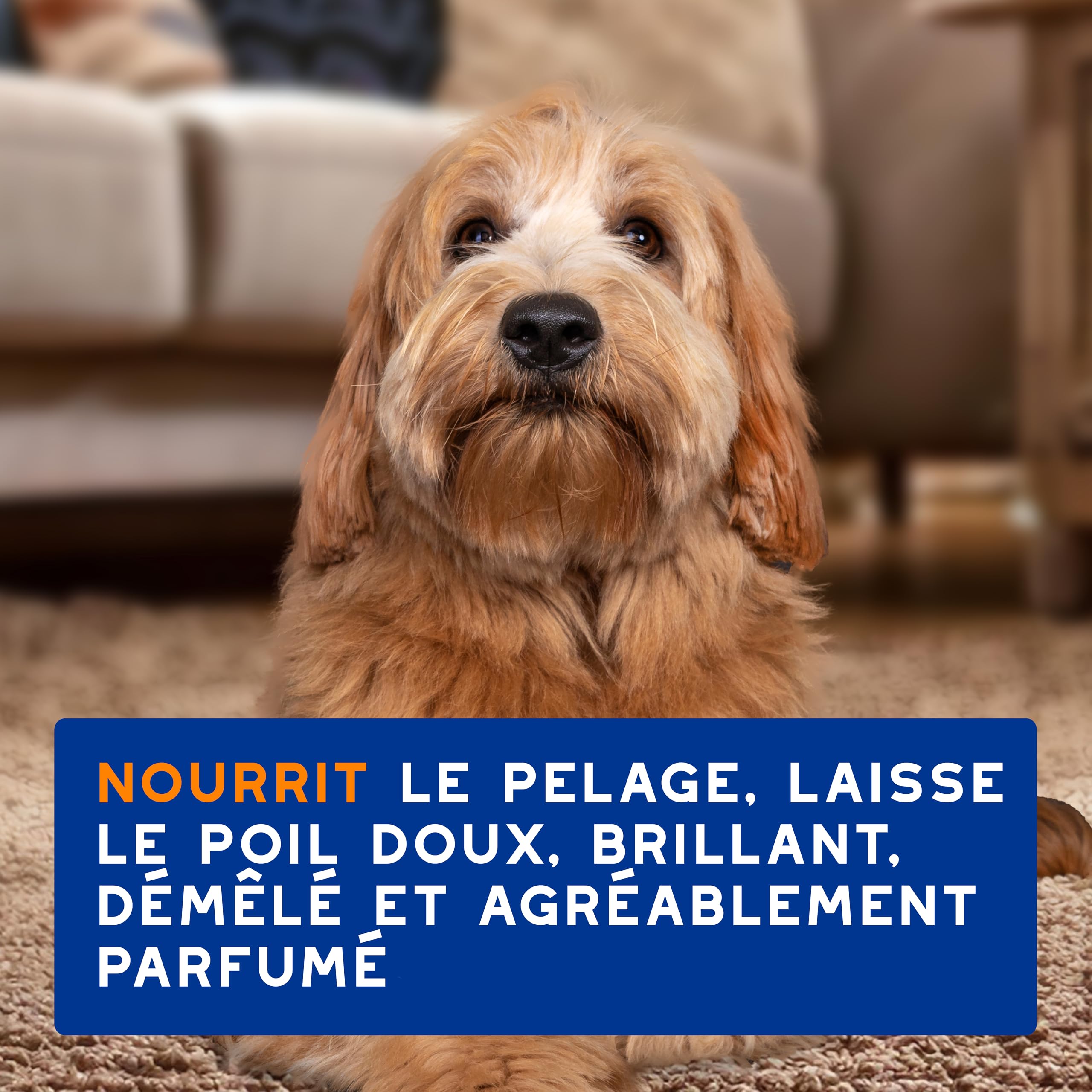DOUXO Skin & Coat Spa - Ultra-Safe Spray démêlant pour Chiens, 340mL, démêle et nourrit Le Pelage en Toute sécurité, Laisse Le Pelage Doux, Soyeux et sans Noeuds, Formule respectueuse de la Peau.