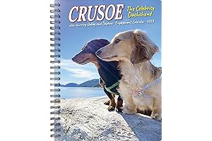 Crusoe: 2023 Dachshund Engagement Calendar