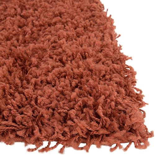 Miniatura 4 de Rugs.com - Alfombra de la colección Über Cozy Solid Shag  Alfombra de pelo largo terracota de 8 x 10 pies perfecta para salas de estar, comedores