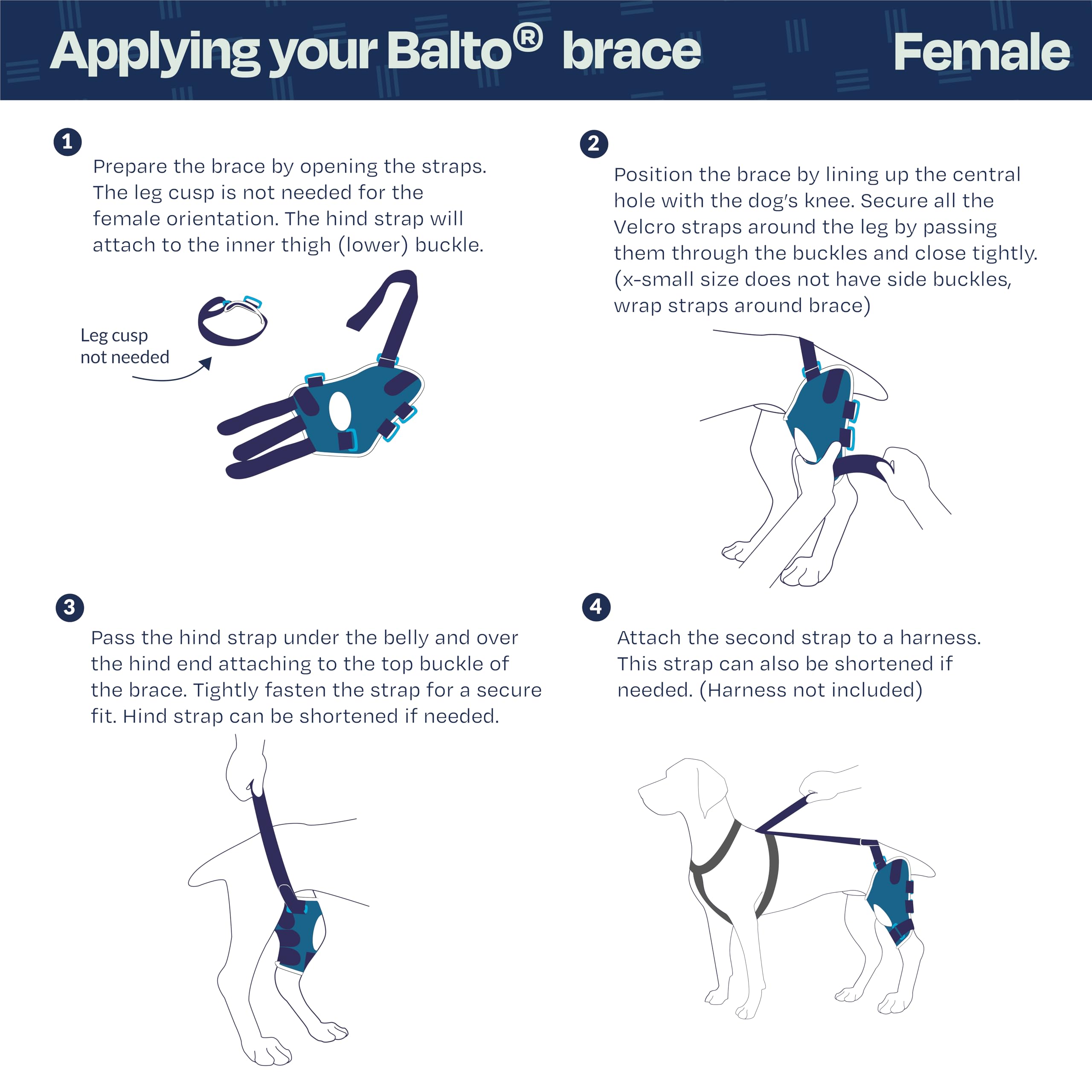 Balto - BT Jump Tutore Ginocchio DESTRO M Tutore M