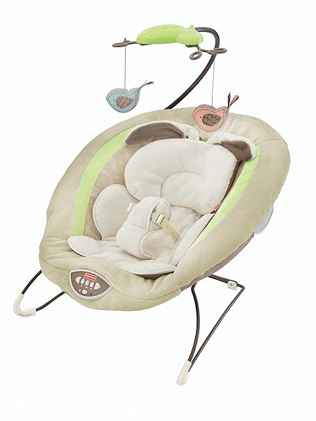 amazon bouncy seat