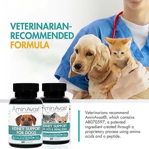 Miniatura 7 de AminAvast Apoyo renal para perros pequeños y gatos - Promueve el apoyo renal saludable en gatos y perros pequeños - 300 mg, 60 cápsulas