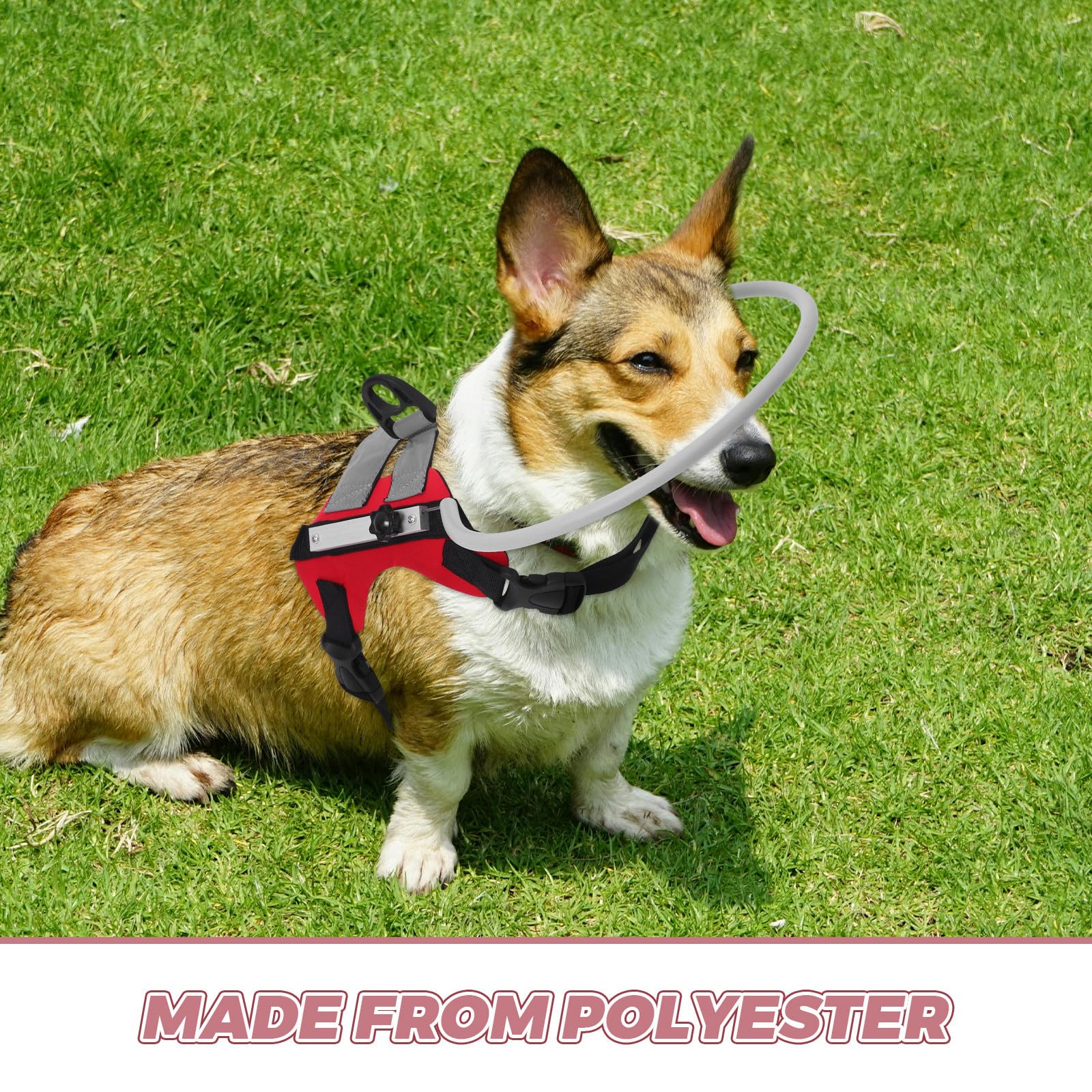 ULTECHNOVO Collier pour Chien Aveugle Rouge en Polyester Léger Protection Anti-Collision et Facile à Utiliser pour Navigation Extérieure Sécurisée