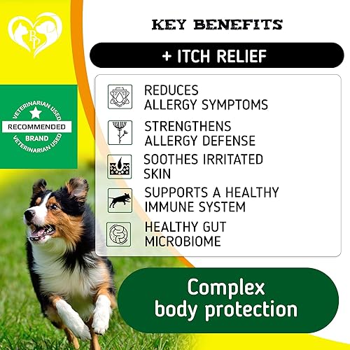 Miniatura 2 de Masticables antipicazón y alivio de alergias para perros, tratamiento para la piel seca con picazón y puntos calientes con probióticos, aceite Omega